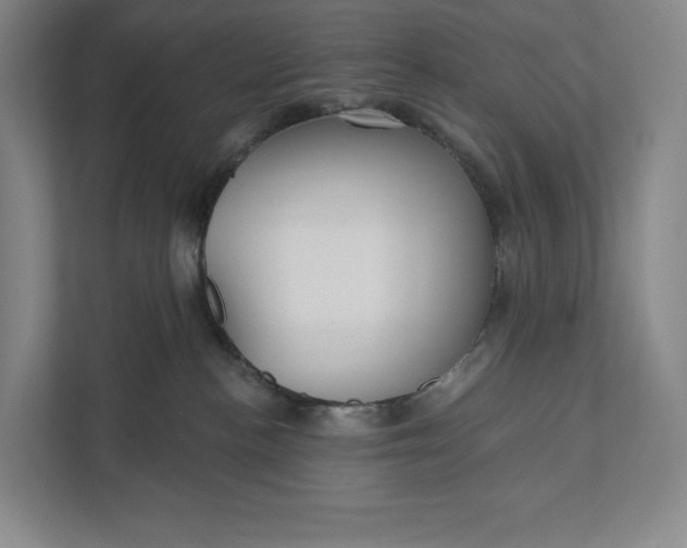 X0000112020188200908171438