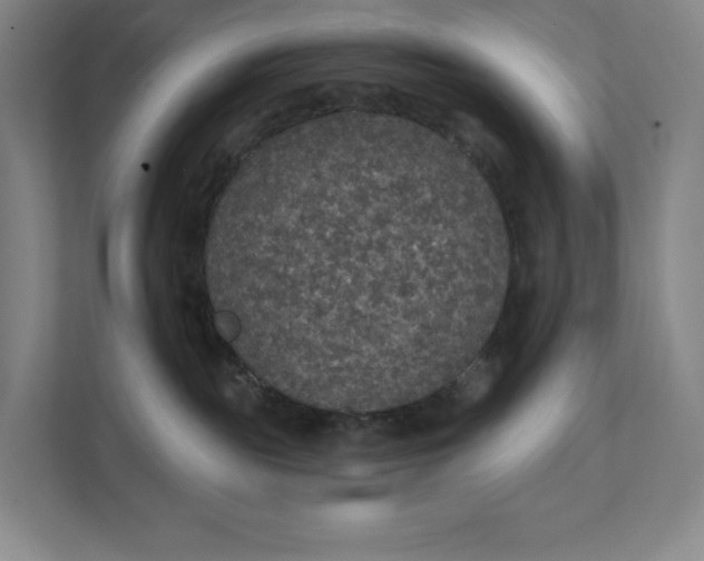 X0000112020189200908171438