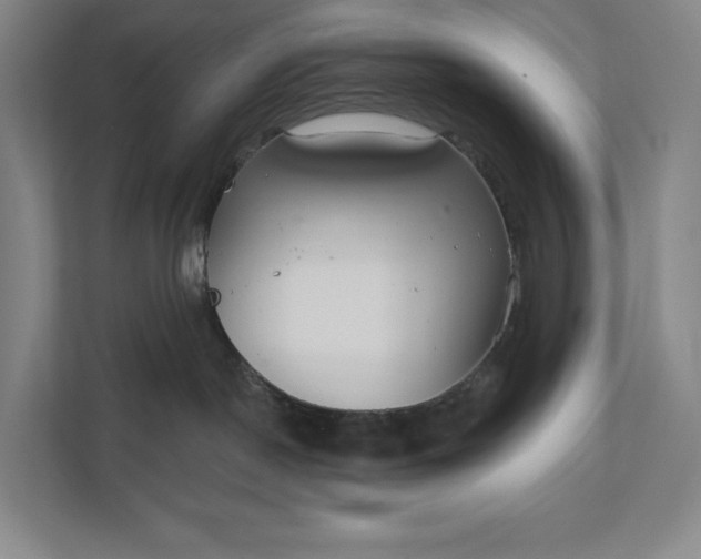 X0000112020190200908171438