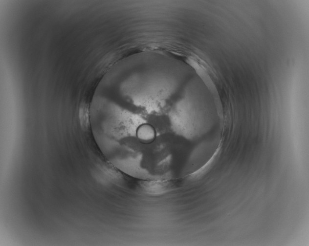 X0000112020191200908171438