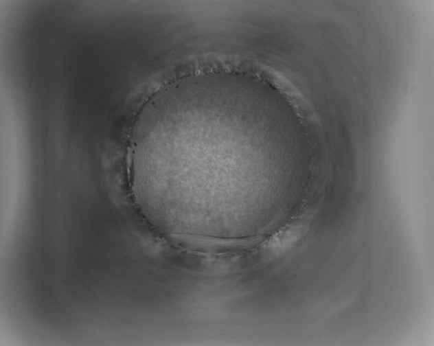 X0000112020192200908171438