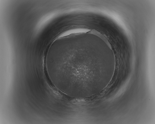 X0000112020194200908171437