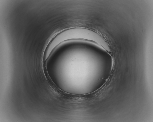 X0000112020195200908171437