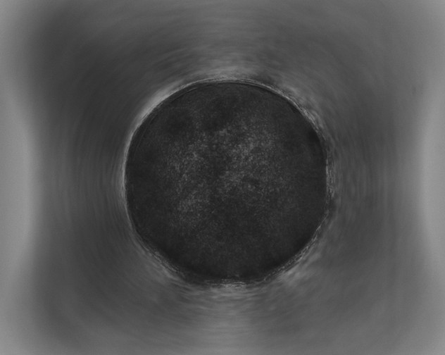 X0000112020196200908171437