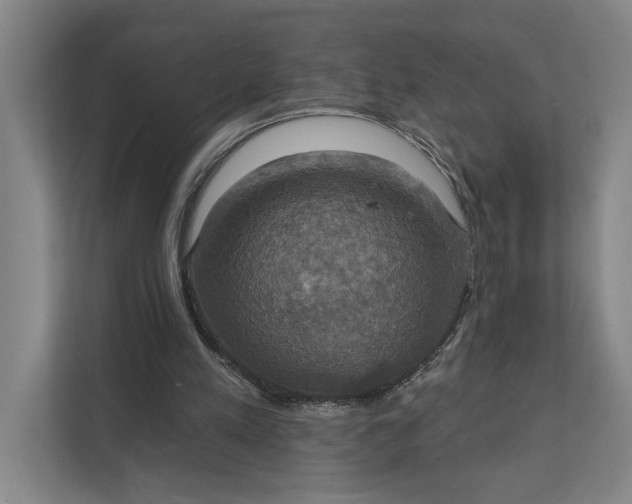 X0000112020197200908171437