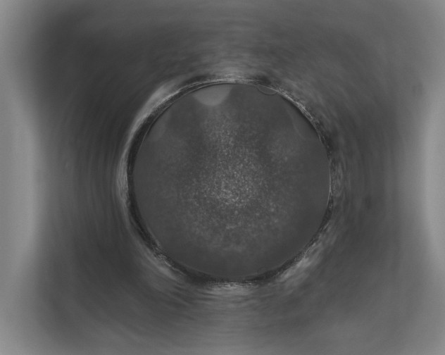 X0000112020198200908171437