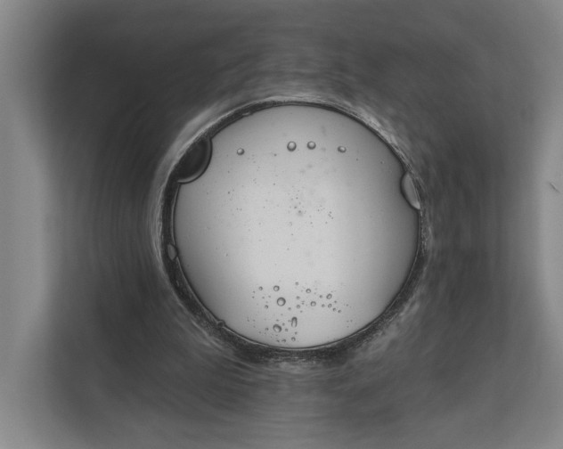 X0000112020199200908171437