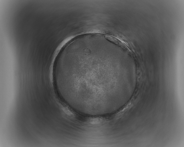 X0000112020200200908171437