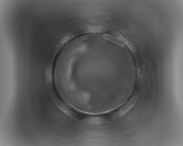 X0000112020203200908171437