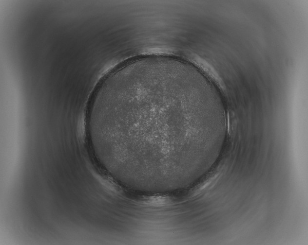 X0000112020204200908171437