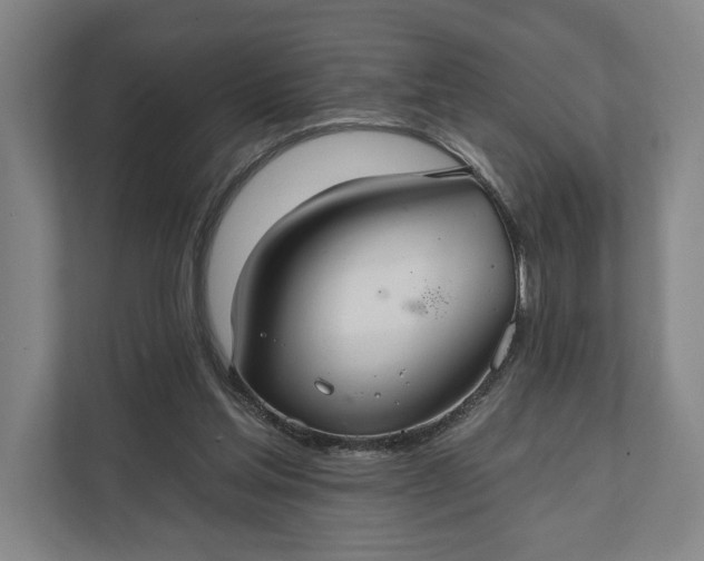 X0000112020205200908171437