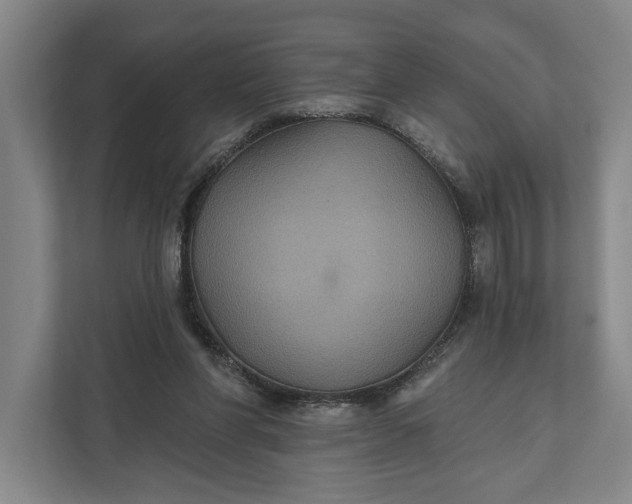 X0000112020206200908171437