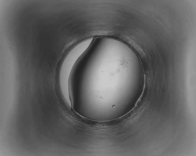 X0000112020207200908171437