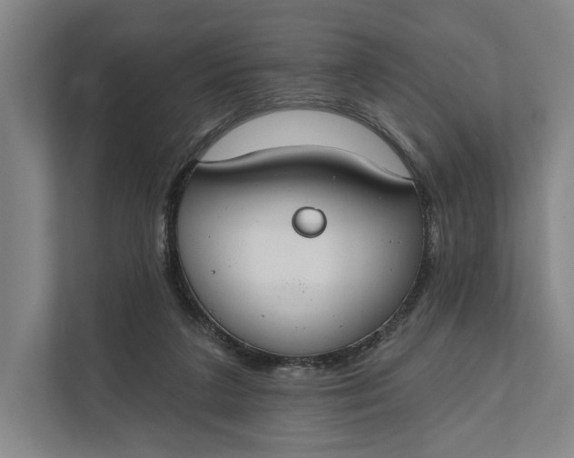 X0000112020211200908171437