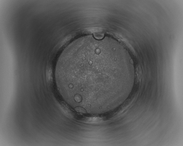 X0000112020212200908171437