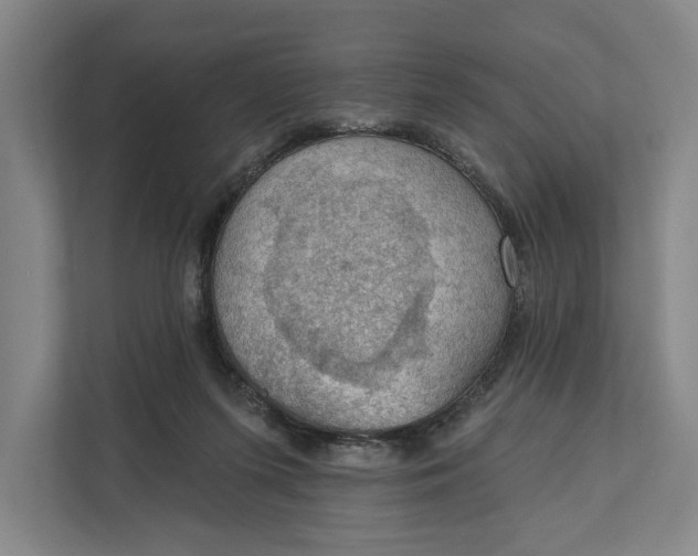 X0000112020215200908171437