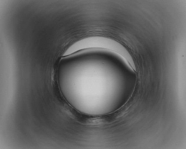 X0000112020219200908171437