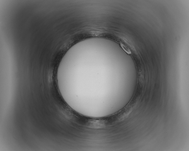 X0000112020221200908171437