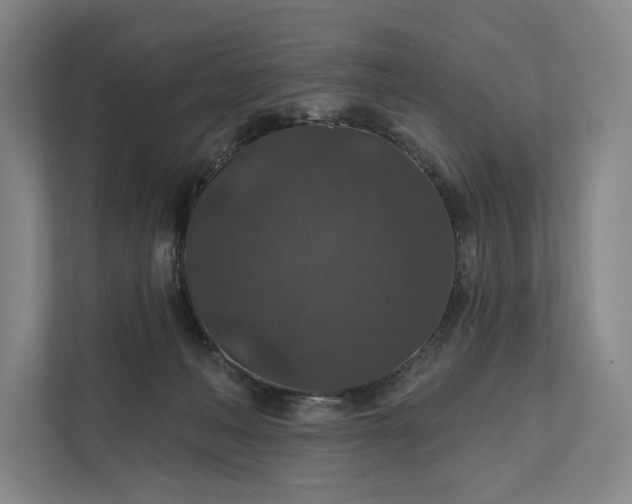 X0000112020222200908171437