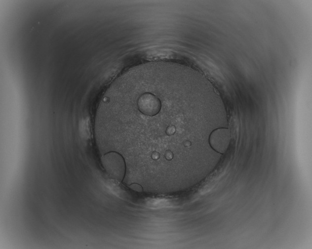 X0000112020224200908171437