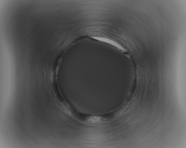 X0000112020227200908171437