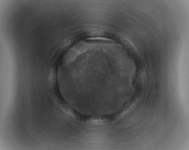 X0000112020228200908171437