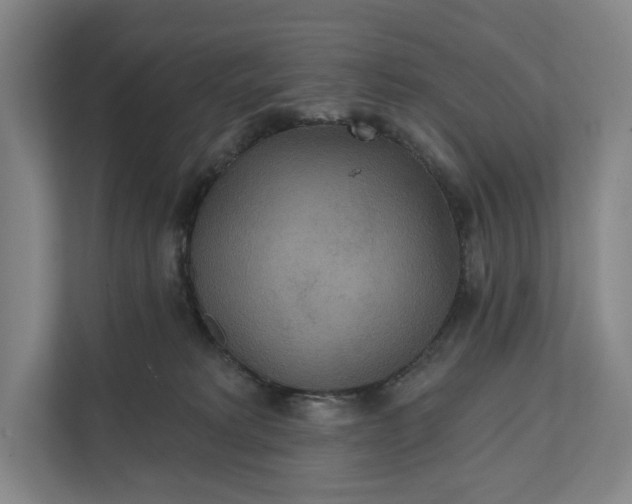 X0000112020229200908171437