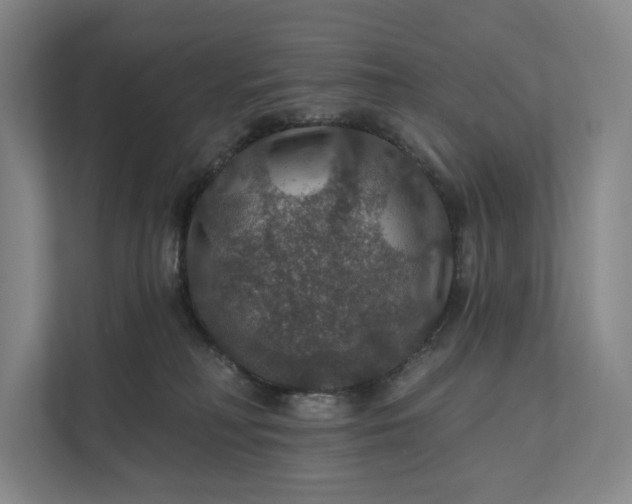 X0000112020230200908171437