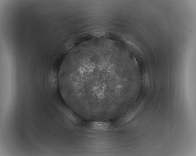 X0000112020234200908171437