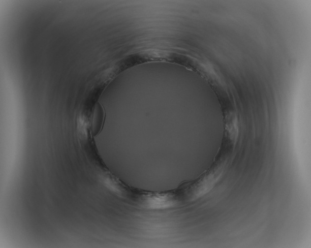 X0000112020235200908171437