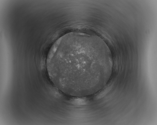 X0000112020236200908171437