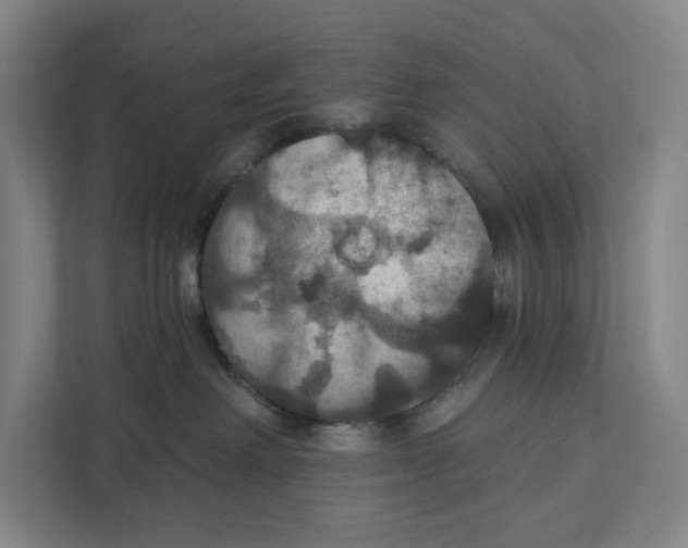 X0000112020238200908171437