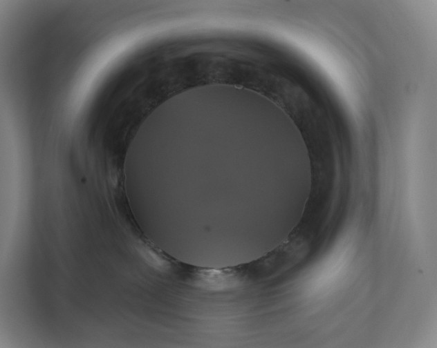 X0000112020239200908171437