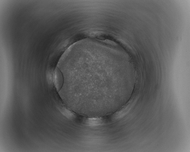 X0000112020240200908171437