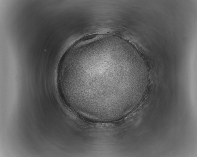 X0000112020242200908171436