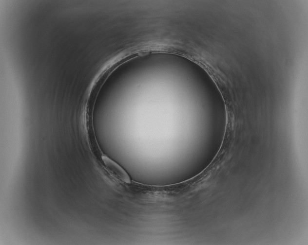 X0000112020244200908171436