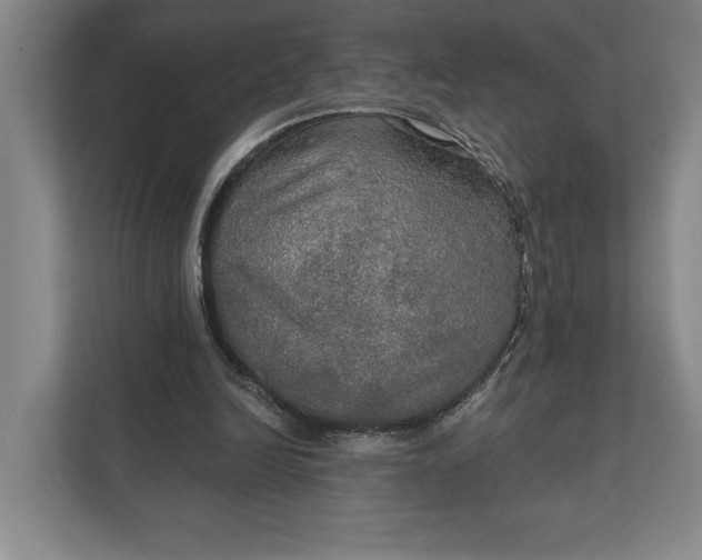 X0000112020246200908171436