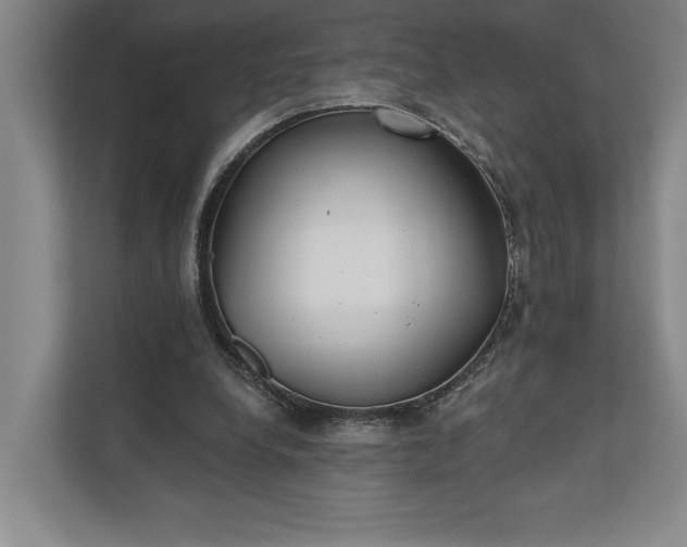 X0000112020248200908171436