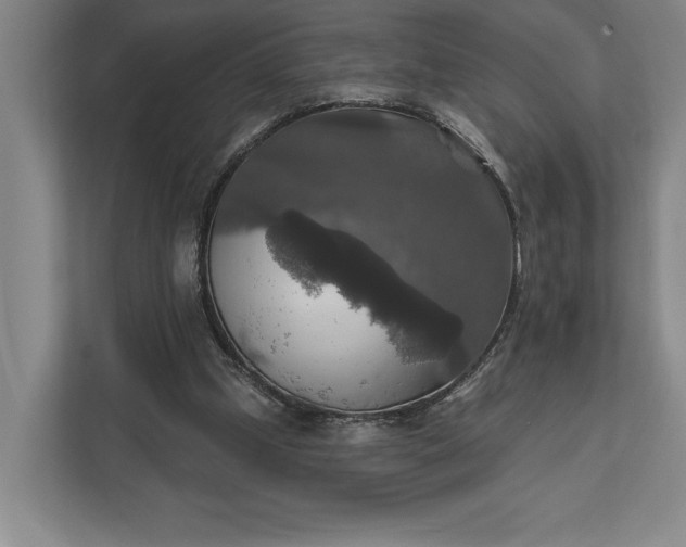 X0000112020249200908171436