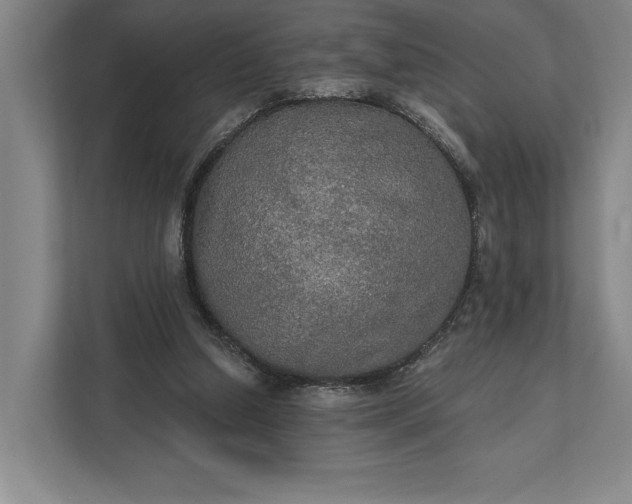 X0000112020250200908171436