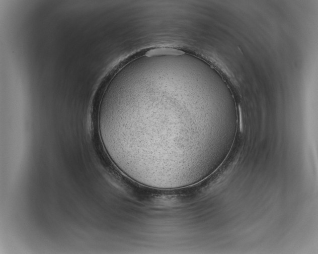 X0000112020252200908171436