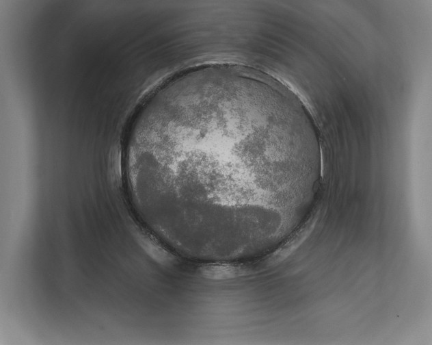 X0000112020253200908171436