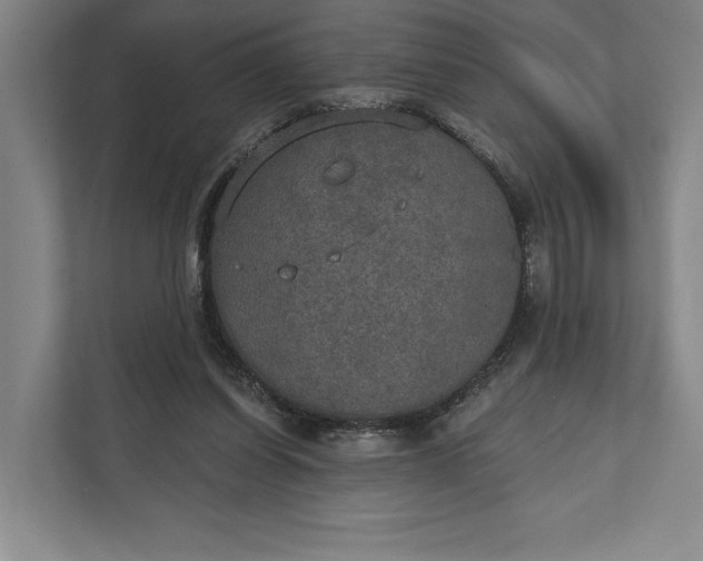 X0000112020254200908171436