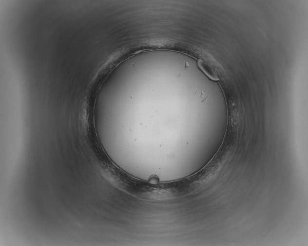 X0000112020256200908171436