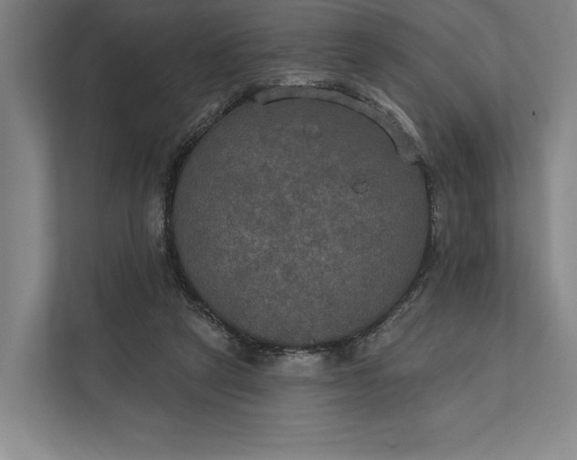 X0000112020257200908171436