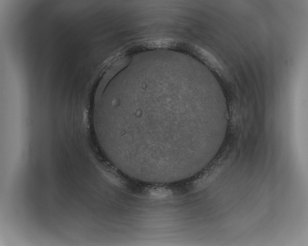 X0000112020258200908171436