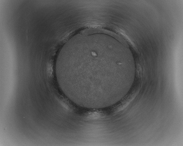 X0000112020259200908171436