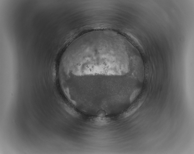 X0000112020261200908171436