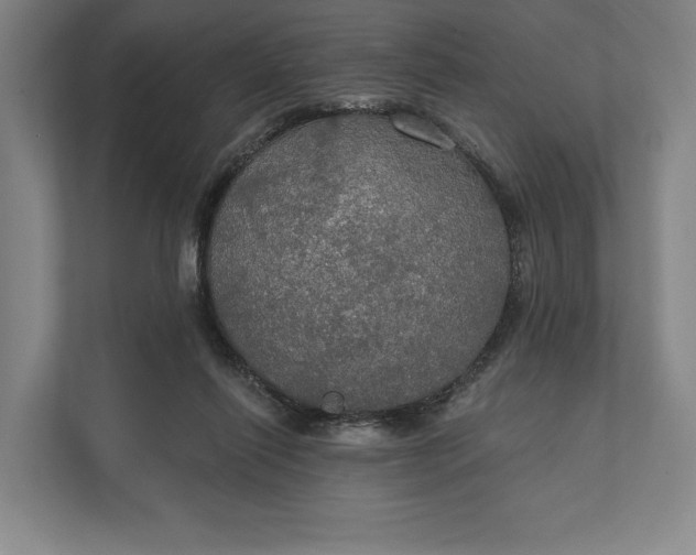 X0000112020262200908171436