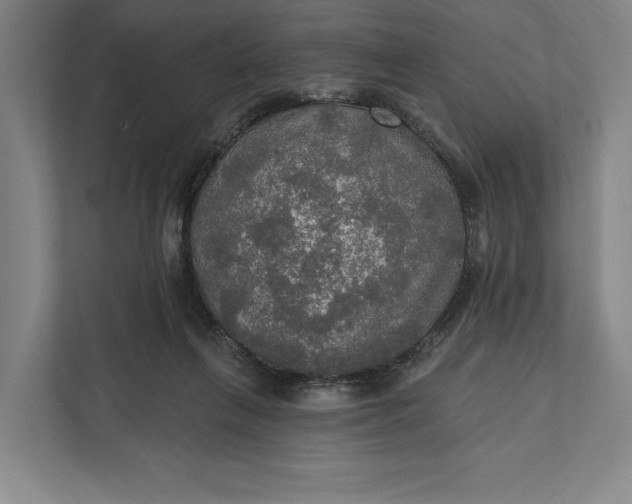 X0000112020263200908171436